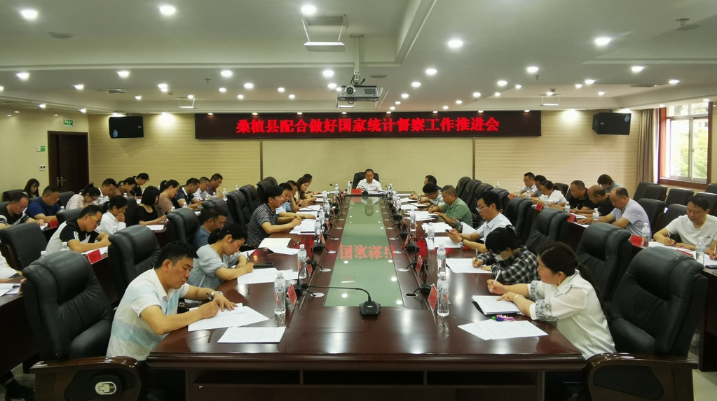 桑植县配合做好国家统计督察工作推进会召开