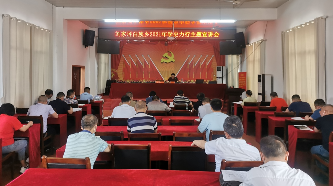 刘家坪白族乡举行集中学习暨“学史力行”专题研讨