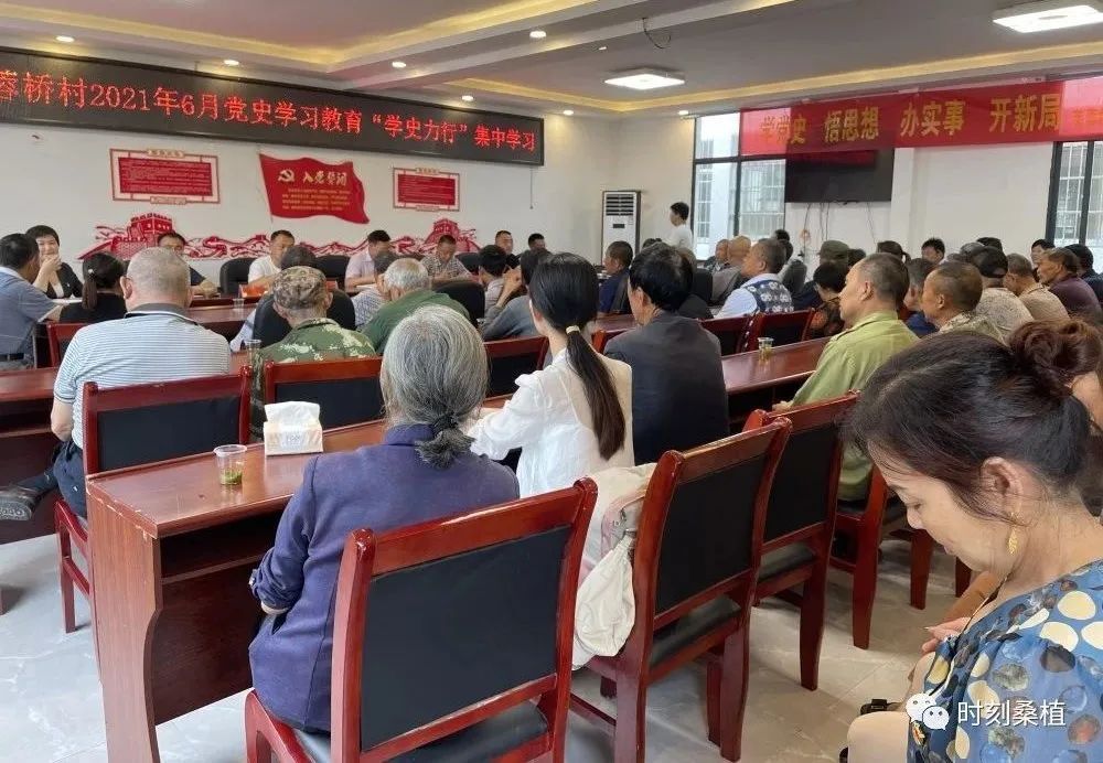 芙蓉桥白族乡芙蓉桥村召开党史学习教育“学史力行”专题研讨会