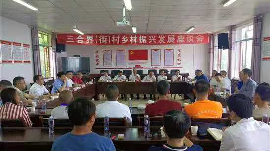 龙潭坪镇：政企合力 共谋振兴
