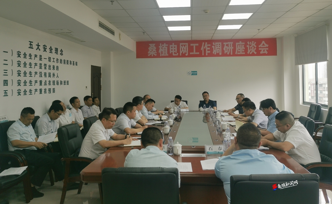 桑植电网工作调研座谈会召开