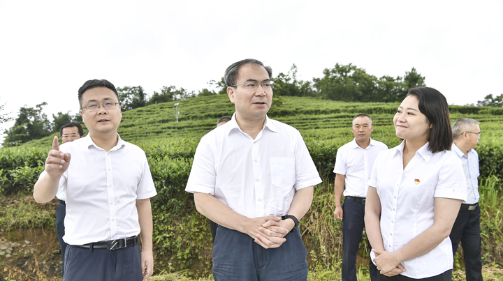 刘革安深入桑植县调研乡村振兴、园区建设发展等情况