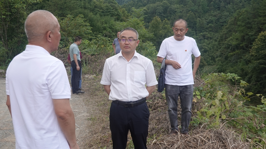 梁高武调研龙潭坪镇三合街村乡村振兴工作