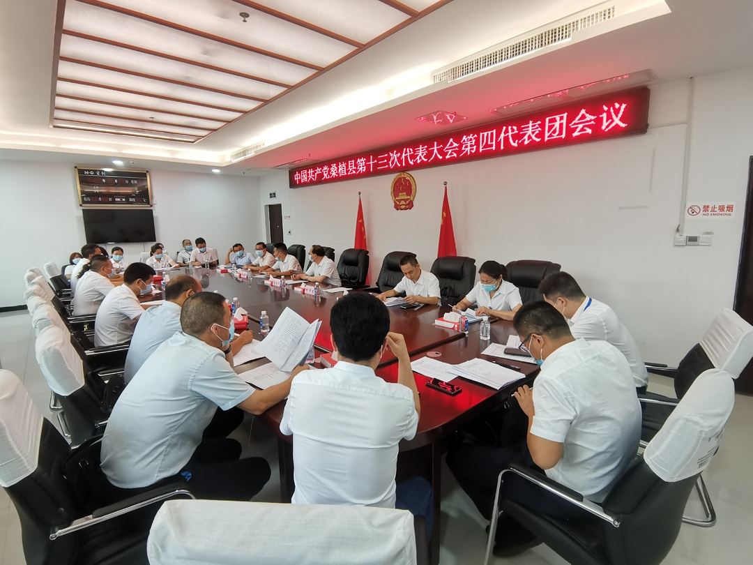 党代会分团讨论：建言献策 共谋发展