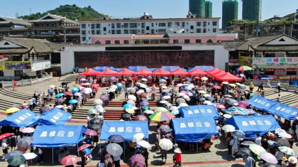 众志成城 抗击疫情︱现场直击！桑植核酸检测工作有序、暖心开展