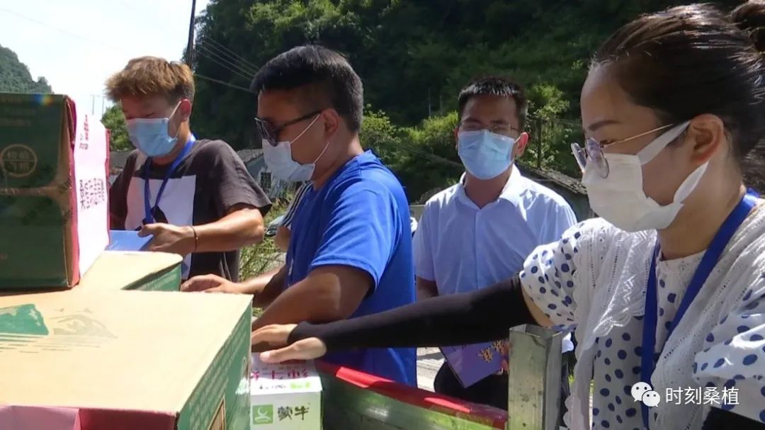 众志成城 抗击疫情丨桑植青年：青春战疫 你们同行