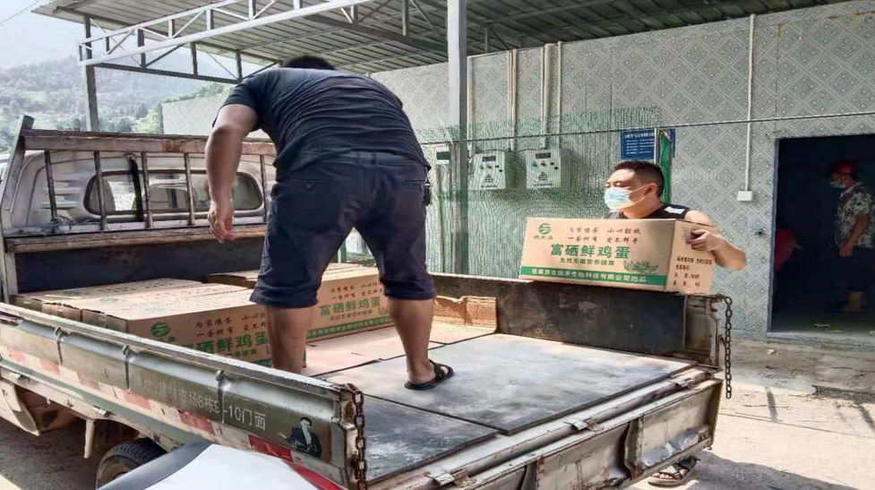 众志成城 抗击疫情丨龙头村：捐助爱心鸡蛋助力抗疫