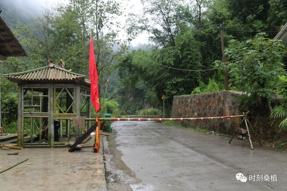 志愿服务丨向家坪村：村民赶制竹亭暖人心