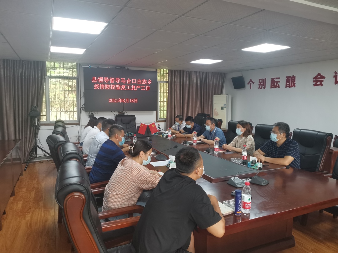 张交通到马合口白族乡督导重点工作