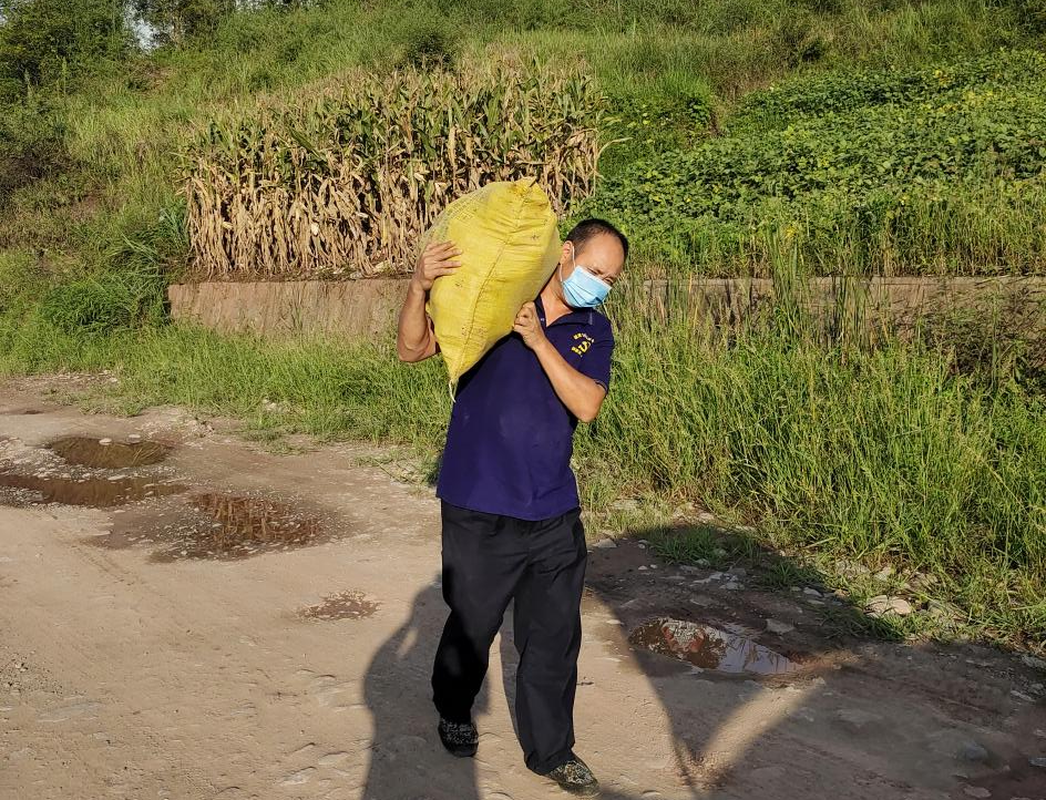 【战疫情 保生产】洪家关白族乡：疫情防控不松劲 农业生产不停歇