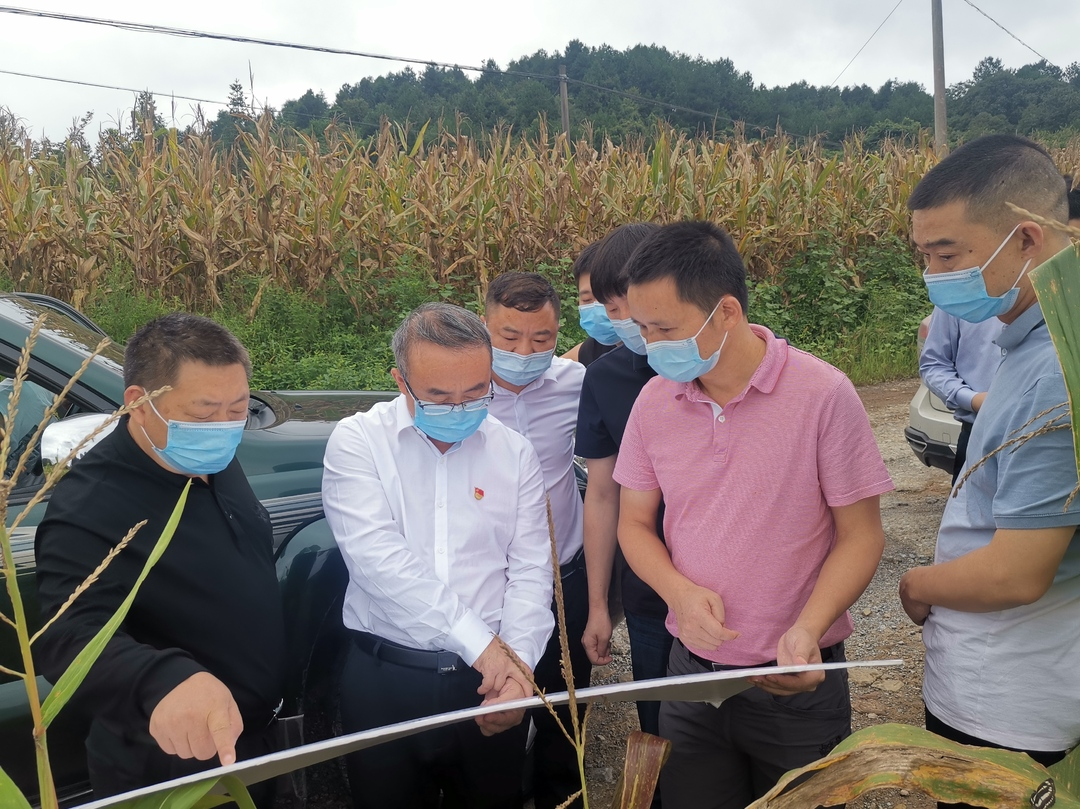 梁高武赴乡镇调研指导当前重点工作