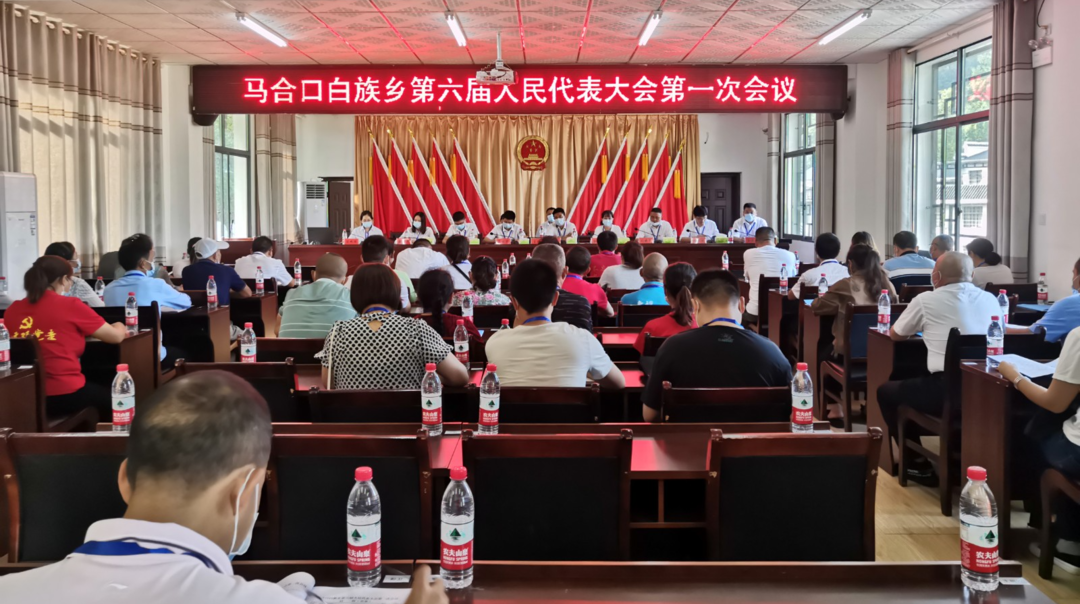 马合口白族乡选举新一届人大、政府领导班子