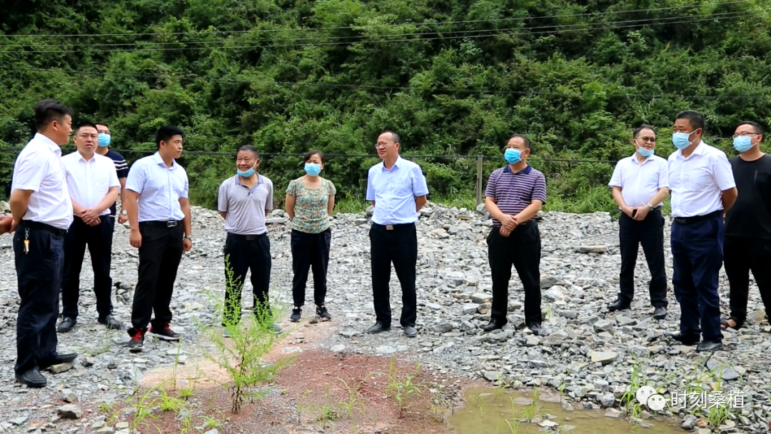 李培其来桑调研督导中央环保督察等突出生态环境问题整改工作
