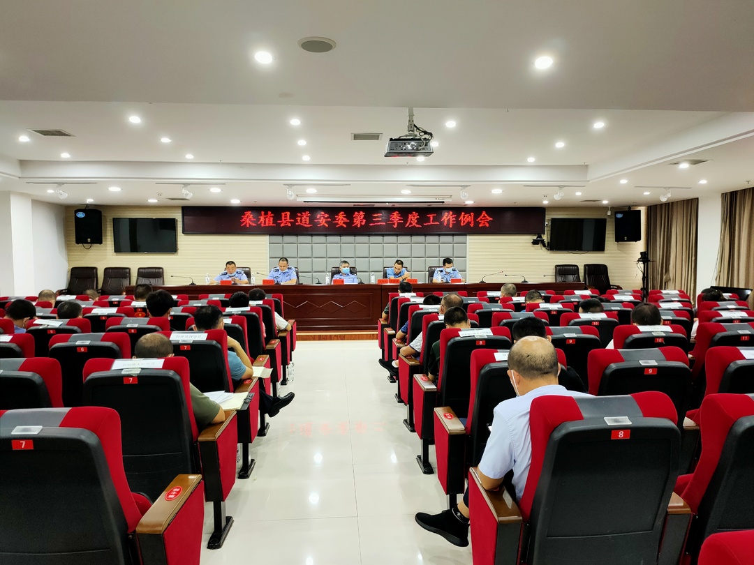 桑植县：持续推进交通问题顽瘴痼疾集中整治