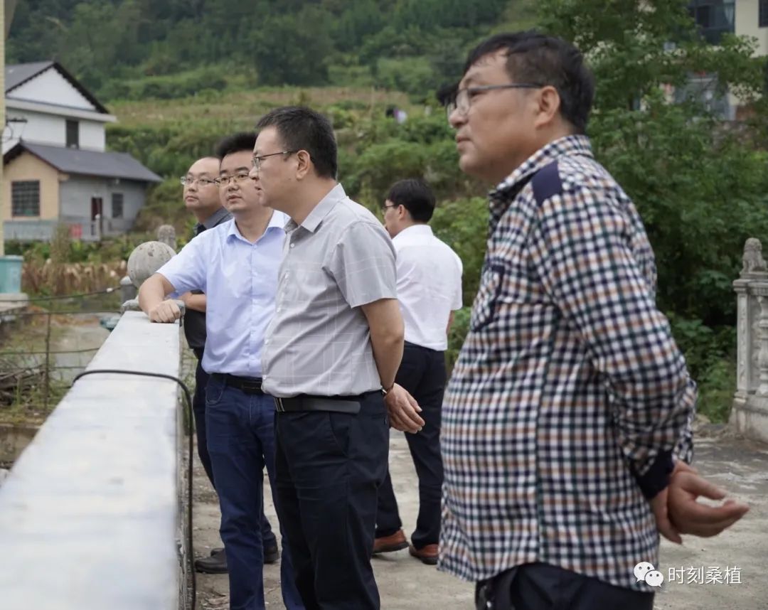 张金华调研乡村振兴并开展巡河工作办公会_桑植新闻网
