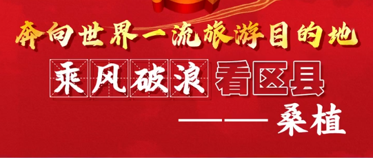 曹飞：抓红色旅游项目 促全域旅游发展