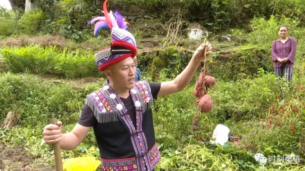 “小城大爱 薯你最香”——直播带货助力乡村振兴