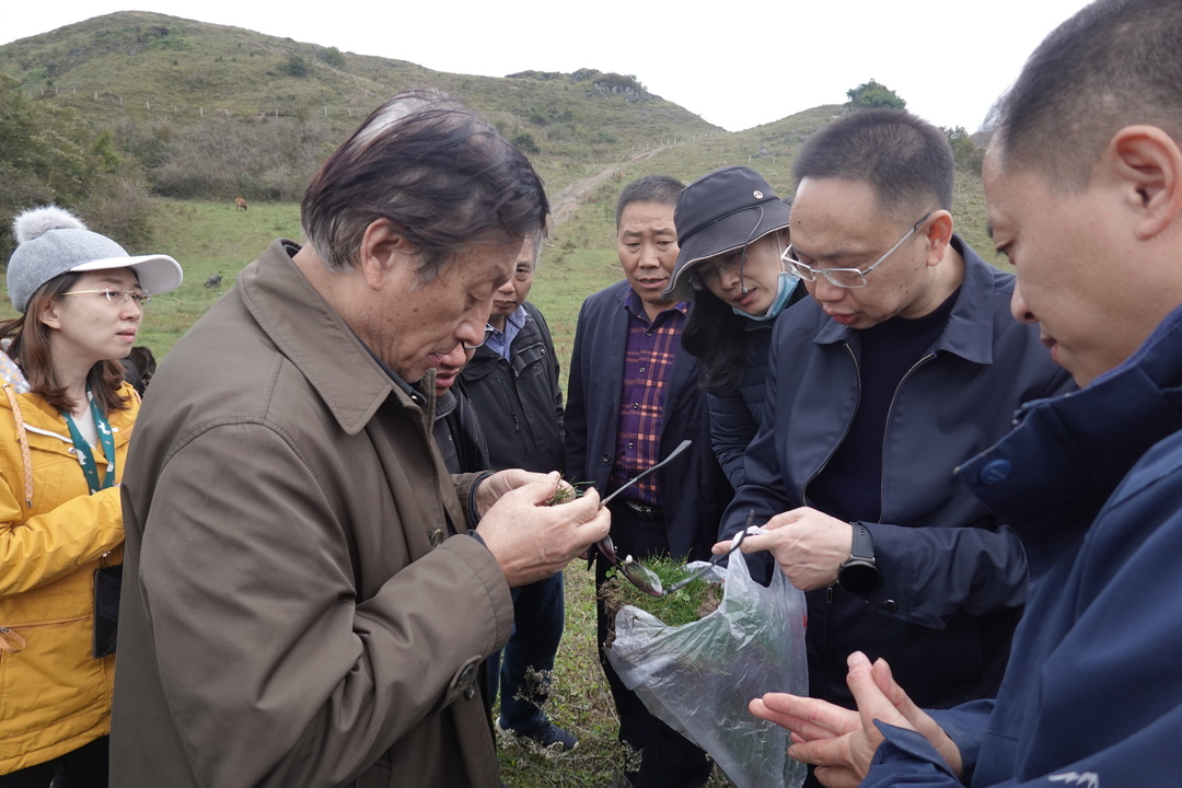 湖南南滩国家草原自然公园（试点）建设总体规划、建设方案经评审通过
