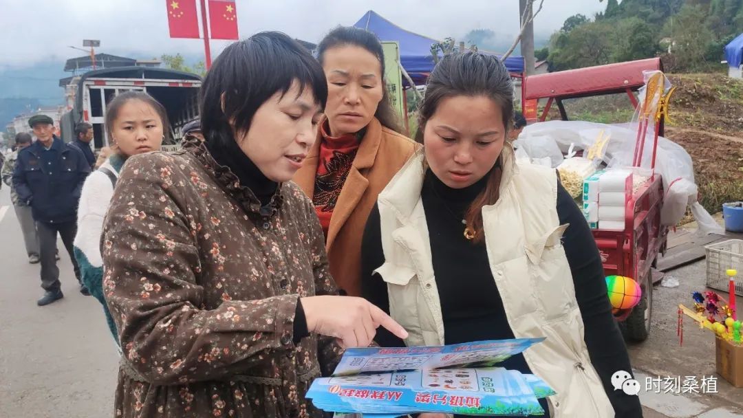 洪家关白族乡：禁毒反诈齐宣传 防范知识入民心