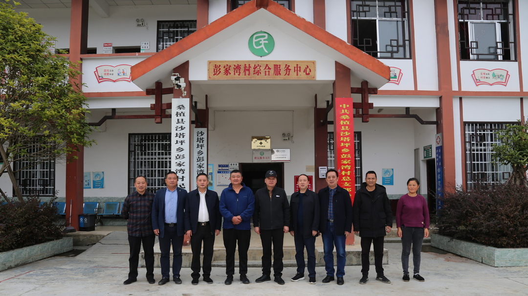 桑植县人大党组到乡镇调研乡村振兴工作