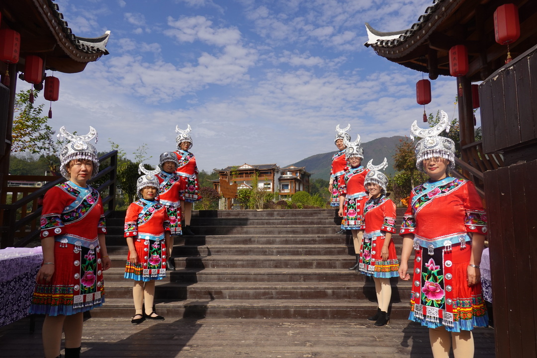 张家界桑植陈家坪村:80亩闲田变宝地 产业发展促振兴-新湖南