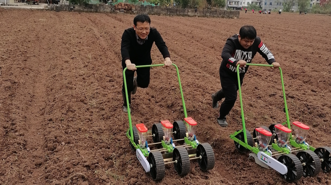 陈家坪村：80亩闲田变宝地 产业发展促振兴