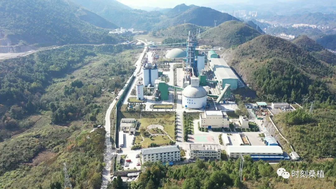 比看促实干 冲刺抓收官︱桑植产业开发区：赋能新型工业强基倍增 点亮乡村振兴新能量