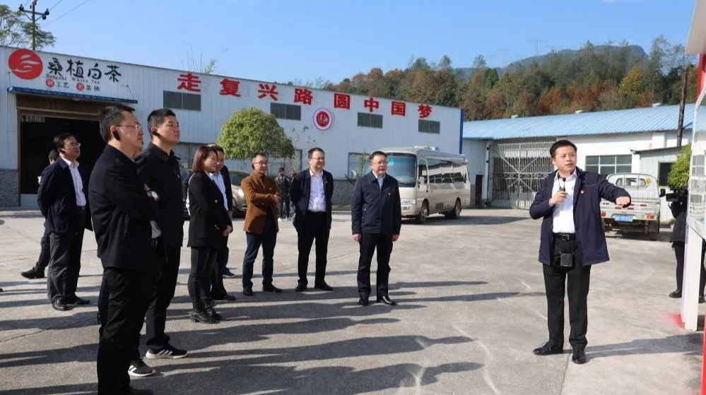 张家界市抓党建促乡村振兴暨2021年度基层党建工作现场会在桑召开
