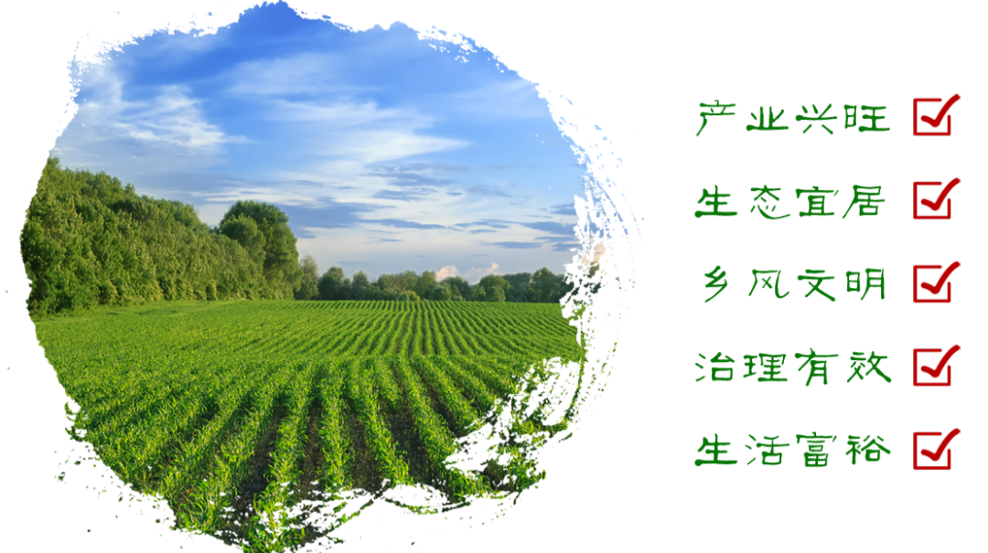 驻村第一书记谈乡村振兴
