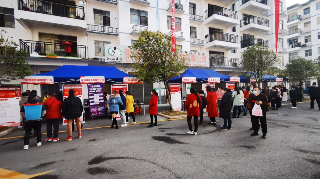 桑植县举办“点亮万家灯火”就业帮扶行动周专场招聘会