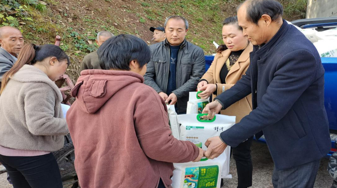 云丰村合作社水稻分红  让村民“笑意更浓”
