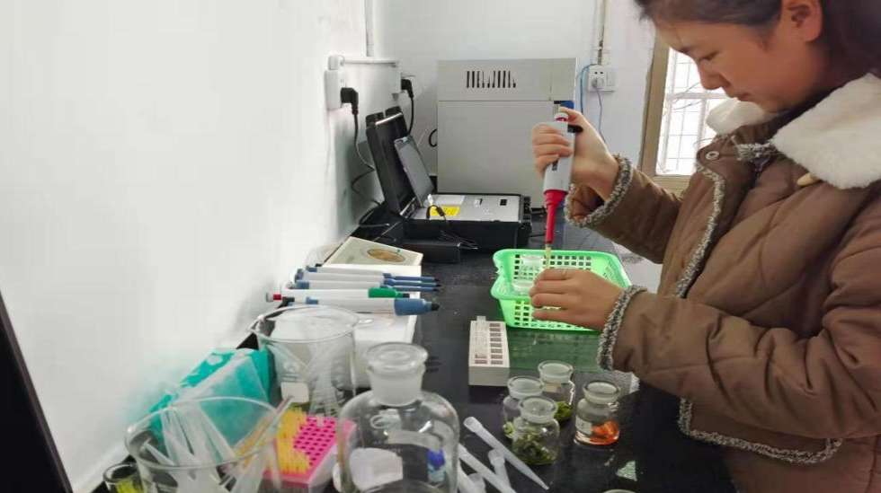 沙塔坪乡：开展农药残留检测 守护舌尖上的安全