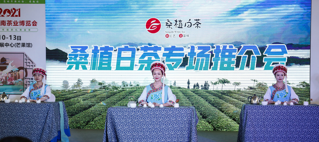 中国桑植白茶  世界生态白茶