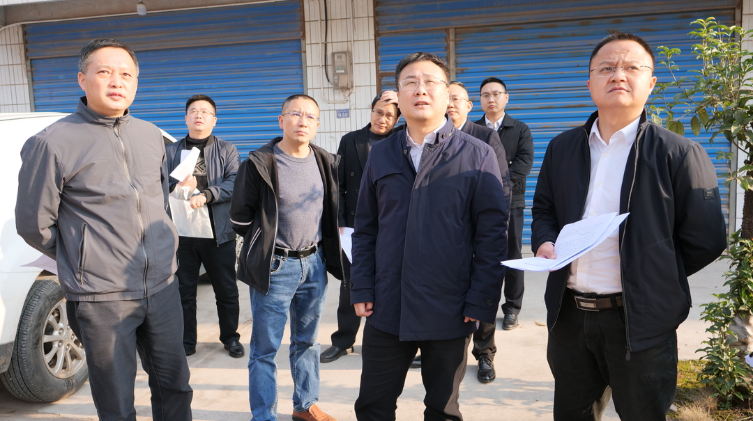 曹飞实地调研控违治违工作