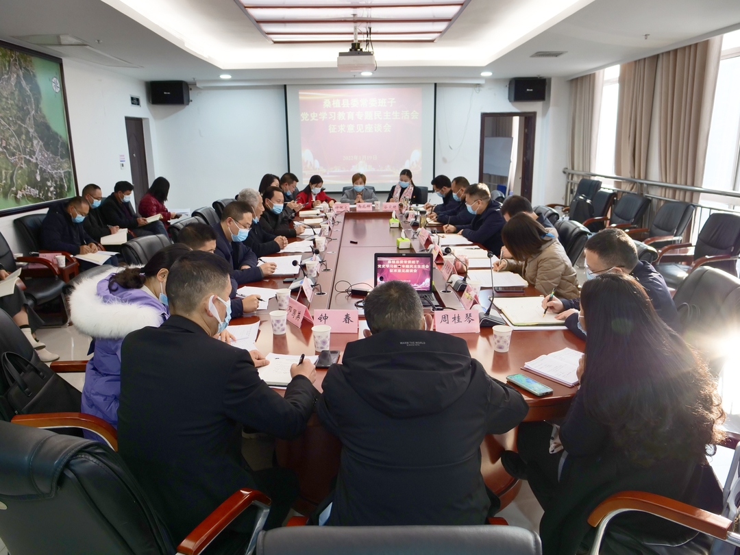 桑植县委常委班子党史学习教育专题民主生活会征求意见