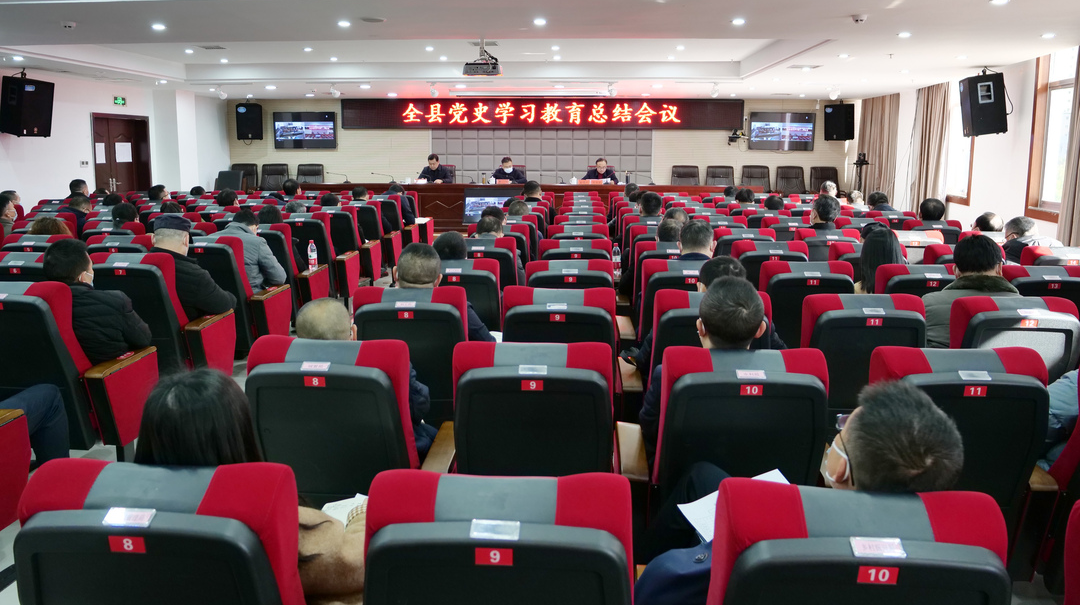 桑植县召开党史学习教育总结大会