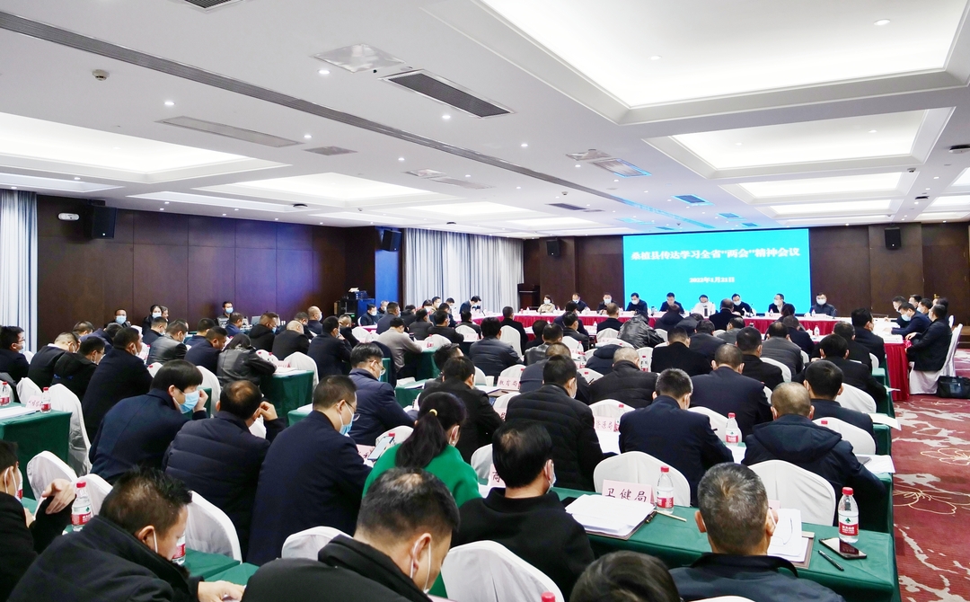 桑植县传达学习全省“两会”精神
