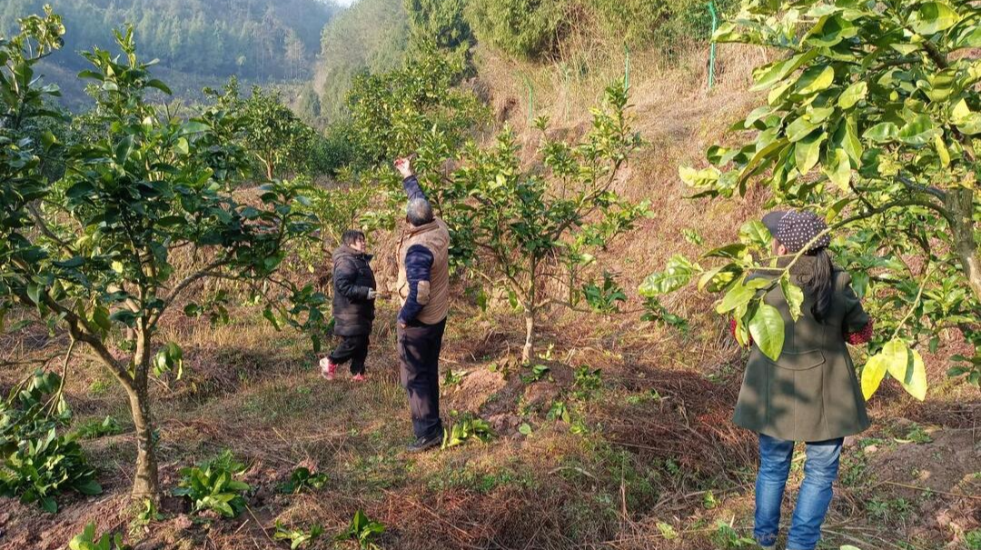 乡村振兴丨县委办驻新阳村工作队：用心用情推进乡村振兴见实效