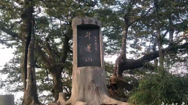 多举措攻坚 高标准创建——桑植冲刺国家生态文明建设示范县