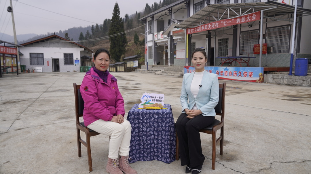驻村第一书记谈乡村振兴｜走进车大河村，专访张晓英