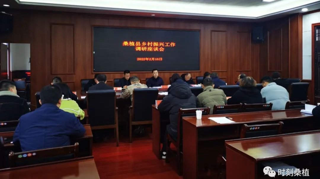 张冲到洪家关白族乡调研乡村振兴工作