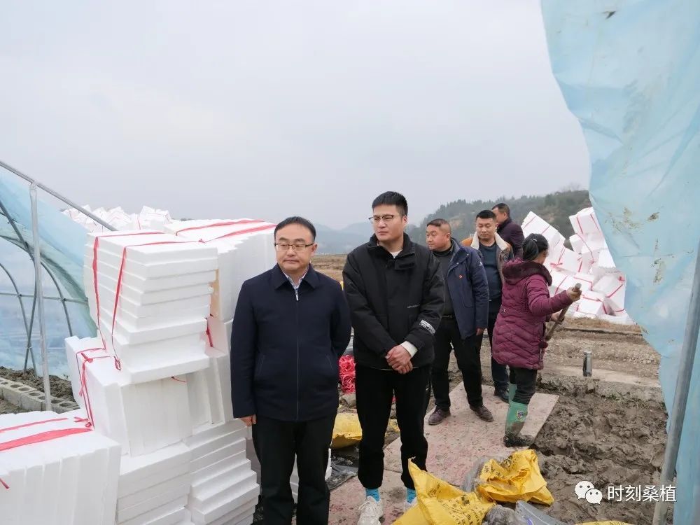 烟叶产业+控违治违 梁高武到上洞街乡调研