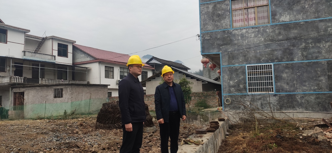 控违治违丨廖家村镇：开展违法建设集中拆除行动