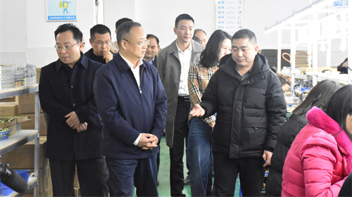 向佐谊来桑调研产业发展和乡村振兴工作