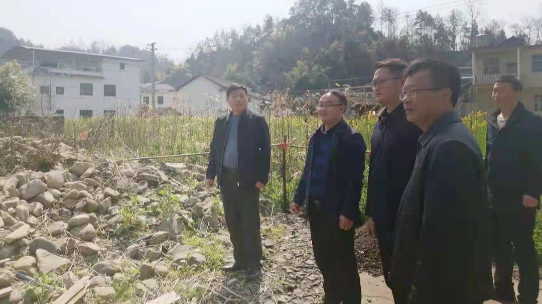 梁高武到廖家村镇调研