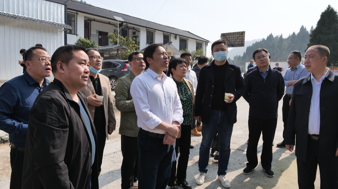 省林长办来桑考核林长制工作