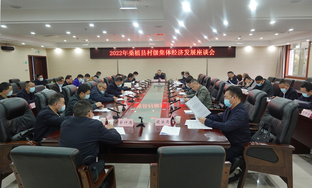 桑植县村集体经济发展座谈会召开