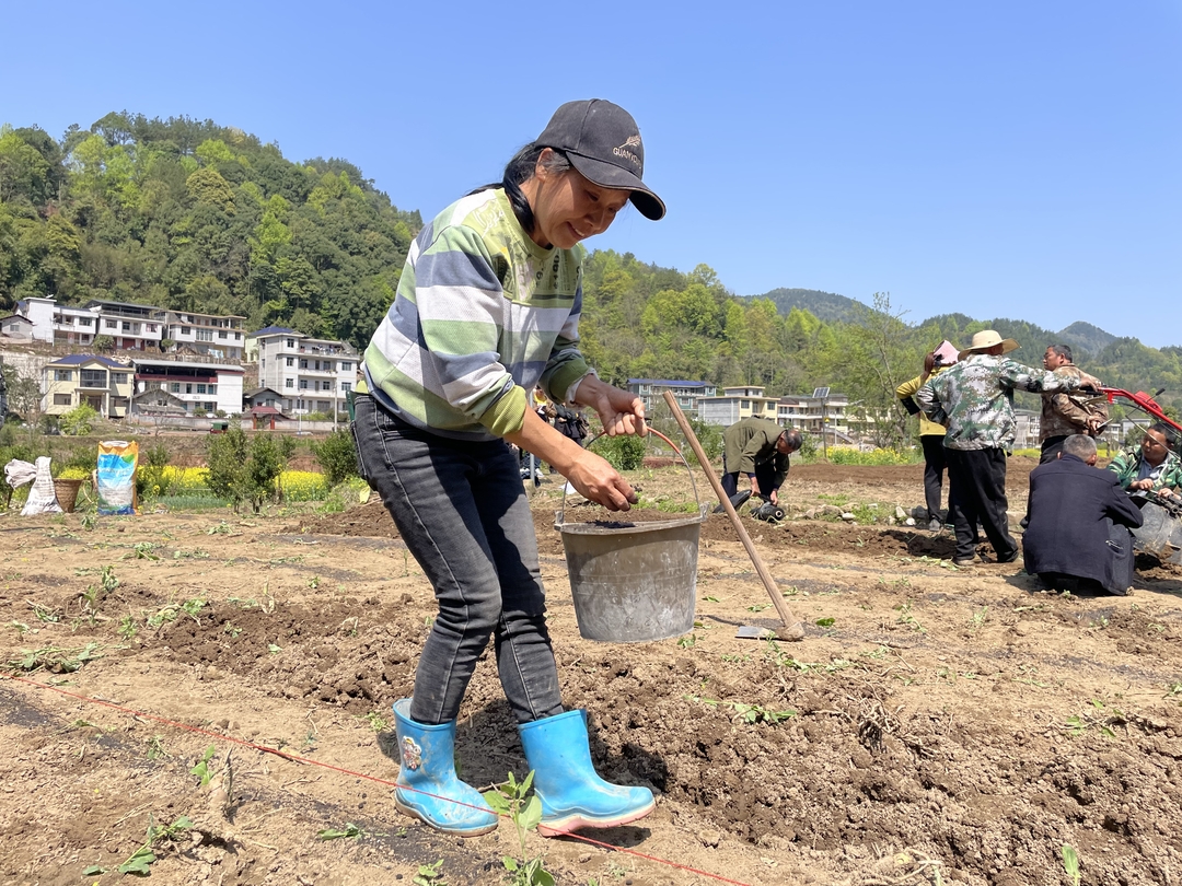 凉水口镇：抓实种植技术培训 助力烟叶生产备栽