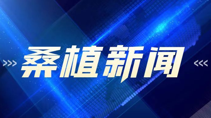 2022年4月6日桑植新闻