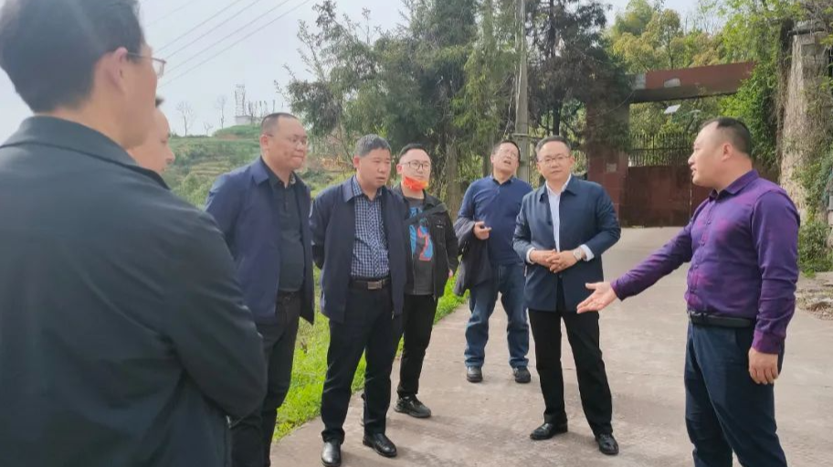钟照寰调研“棚改清零”工作和洪湖路项目建设情况